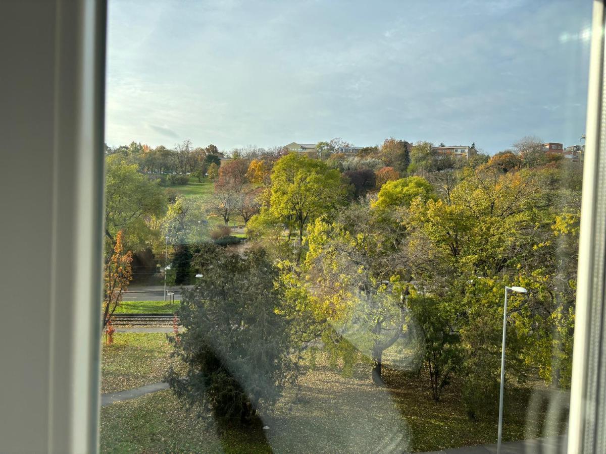 Cozy Panorama Apartment Next To The Buda Castle 布达佩斯 外观 照片